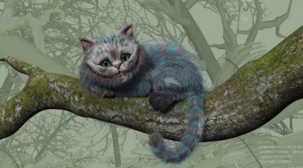 Nu dispărea, Cheshire Cat