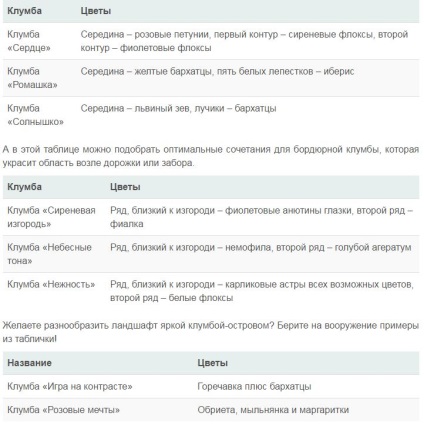 Низькорослі квіти для клумб квітучі все літо, фото