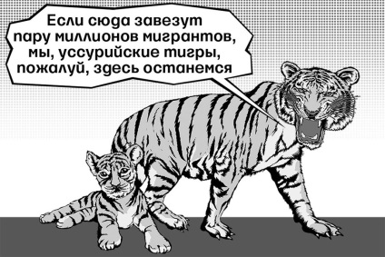 Нова держструктура збирається врятувати далекий схід від деградації і витоку мізків - відомості