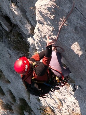 Un nou multipitch pe o pisică, Simeiz