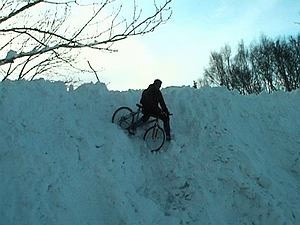 Consiliul de Anul Nou al lui Moș Crăciun