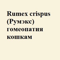 Nux vomica (homeopatia homosexuală) la pisici - totul despre pisici și pisici cu dragoste