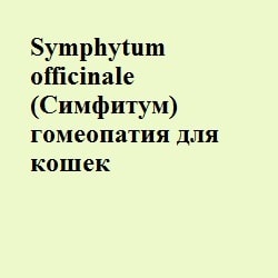 Nux vomica (нукс воміка) гомеопатія кішкам - все про котів і кішок з любов'ю