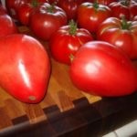 Prelucrarea tomatelor provenind de la mijloace de luptă târzii și metode de luptă