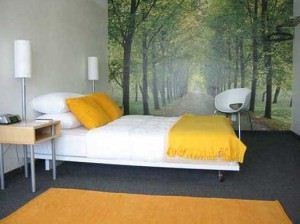 Decorarea pereților în opțiunile dormitorului, pictura, lipirea, decorarea, instrucțiuni de alegere și design -
