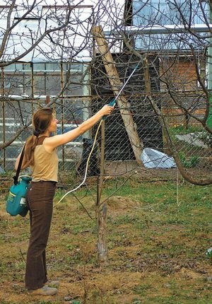 Pulverizare cu carbamide pentru îngrijirea copacilor, moduri de utilizare și sfaturi pentru grădinari