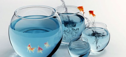 Спростування - пам'ять акваріумний рибки - 10 секунд