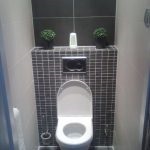 Caracteristici de a crea un design de toaletă cu propriile mâini Elemente de design de bază, idei