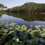 Hogland остров снимка, туристически новини