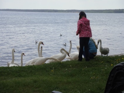 Lacul este mai îngust