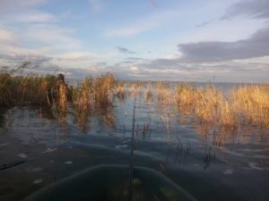 Lacul sugoyak - lacuri din regiunea Chelyabinsk