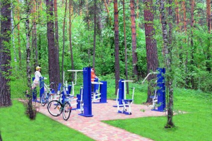 Pension eposz (Novoszibirszk) partján öböl Berd (Novoszibirszk) Pension eposz (Novoszibirszk) partján öböl Berd