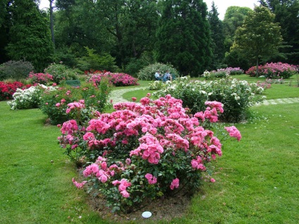 Park bagatel - celebrul rozariu francez