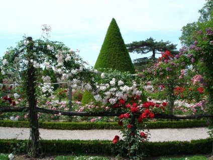 Парк багатель - відомий французький розарій