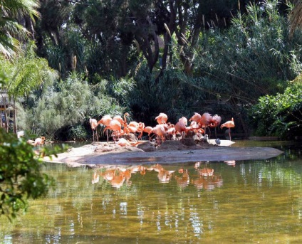 Parcul oaza de cetate din centrul Barcelonei - ghidul barcelona tm