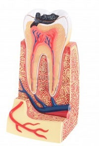 A periodontális betegség képet, függetlenül attól, hogy gyógyítható, és a betegség okait