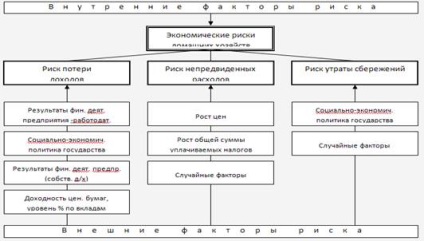 Perspectivele pentru dezvoltarea gospodăriilor din Federația Rusă, riscurile economice ale populației interne