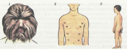 Idei inițiale despre originea omului - un manual electronic privind biologia