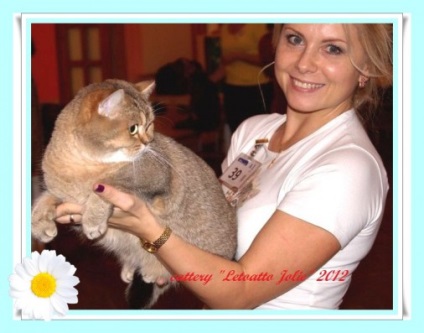 Cattery (állatok) tenyészet