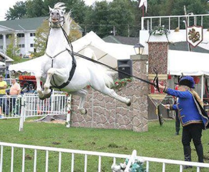 Miért nem tudja megközelíteni a ló vissza, lovas turizmus Bajkál
