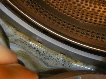 Чому після прання в автоматі речі смердять вогкістю і що робити - відповіді і поради