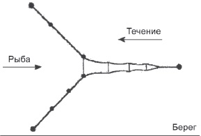 Ascensoare, capcane, rețele de turnare