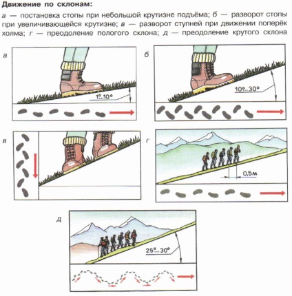 Підготовка і проведення піших походів на рівниною і гірській місцевості