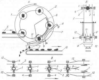 Pregătirea materiilor prime pentru compoturile de fructe conservate