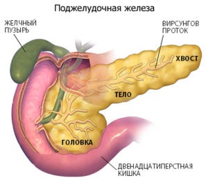 Pancreasul cum doare și unde este, simptomele