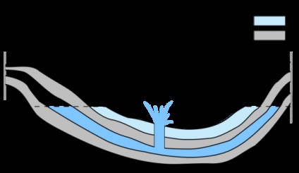 Utilizarea și rănirea apei arteziene, compoziția ei chimică
