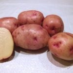 Plantarea cartofilor în tehnologia de cultivare olandeză, schema de plantare