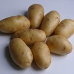 Plantarea cartofilor în tehnologia de cultivare olandeză, schema de plantare