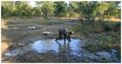 Haide, pește vom săpa! Pescuit neobișnuit în Africa