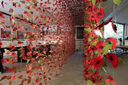 Приголомшлива квіткова композиція з маків в пам'ять про жертви першої та другої світових воєн