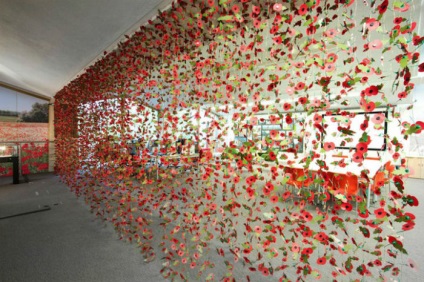 Compoziție uimitoare de flori de mac în memoria victimelor primei și celei de-a doua războaie mondiale