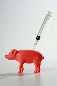 Adevărul despre gripa porcină