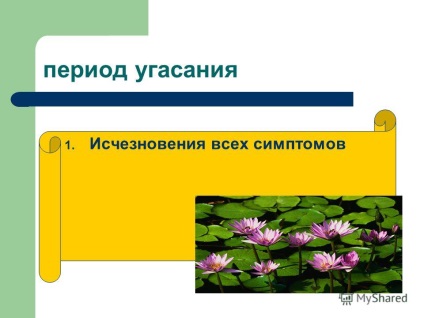 Prezentare pe tema celei de-a 10-a tematici a principalelor boli infecțioase, clasificarea acestora și