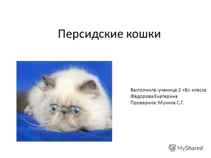 Prezentarea pe tema pisicilor persane efectuată de un student de clasa a 2-a Fedorova Ekaterina a fost verificată