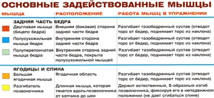 Присідання зі накачати нання для литкових м'язів, енциклопедія бодібілдингу