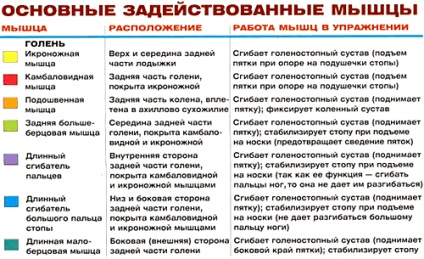 Присідання зі накачати нання для литкових м'язів, енциклопедія бодібілдингу