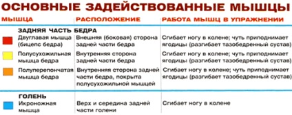 Присідання зі накачати нання для литкових м'язів, енциклопедія бодібілдингу