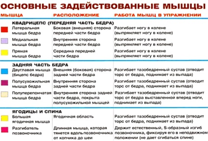 Присідання зі накачати нання для литкових м'язів, енциклопедія бодібілдингу