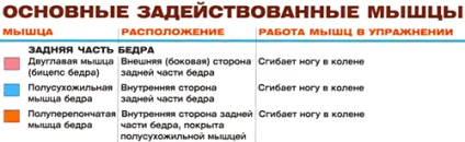 Присідання зі накачати нання для литкових м'язів, енциклопедія бодібілдингу