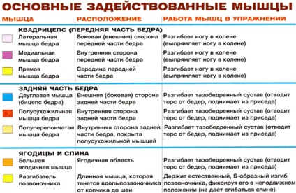 Присідання зі накачати нання для литкових м'язів, енциклопедія бодібілдингу