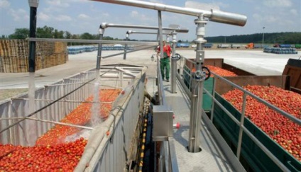 Producția de pastă de tomate cum să deschidă o fabrică și ce echipament să cumpere, tehnologia de fabricație