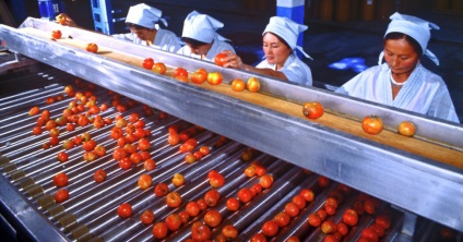 Producția de pastă de tomate cum să deschidă o fabrică și ce echipament să cumpere, tehnologia de fabricație