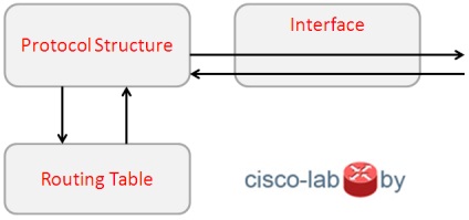 Despre unele diferențe în operația de distribuire-listă în funcție de protocolul de rutare (ospf,