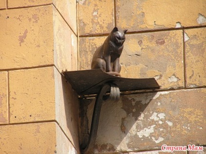 Despre pisicile din St. Petersburg sau aterizarea pufoasă