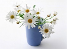 Простий і ефективний спосіб зробити гарний букет у квітковому вазі leonids-info