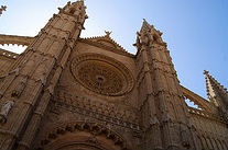 Ghid pentru palmier, Mallorca